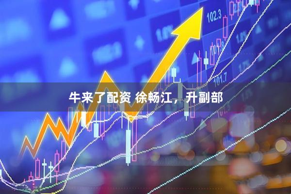 牛来了配资 徐畅江，升副部